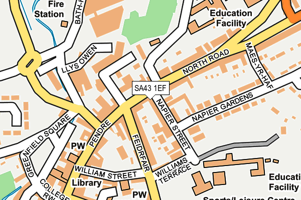 SA43 1EF map - OS OpenMap – Local (Ordnance Survey)