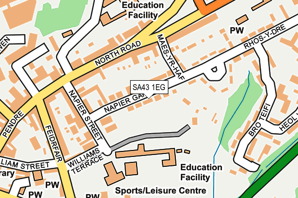 SA43 1EG map - OS OpenMap – Local (Ordnance Survey)