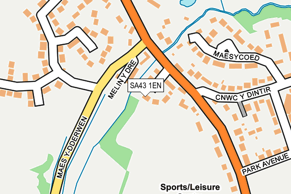 SA43 1EN map - OS OpenMap – Local (Ordnance Survey)