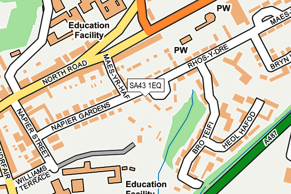 SA43 1EQ map - OS OpenMap – Local (Ordnance Survey)