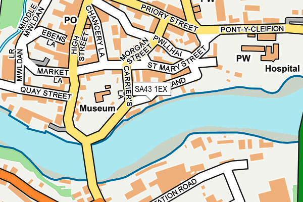 SA43 1EX map - OS OpenMap – Local (Ordnance Survey)