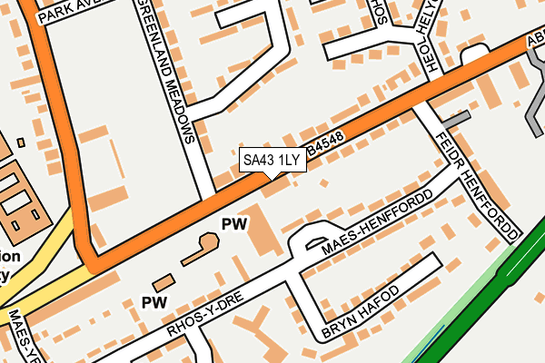 SA43 1LY map - OS OpenMap – Local (Ordnance Survey)