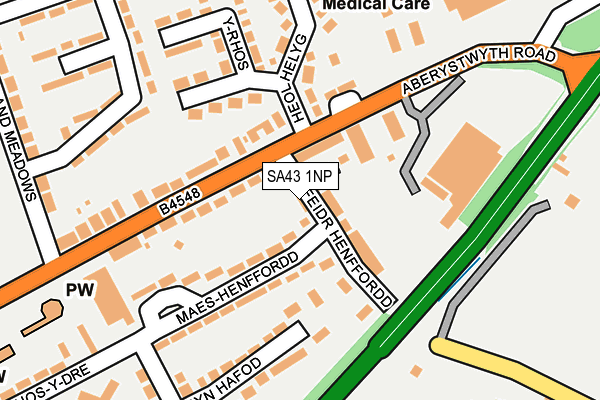 SA43 1NP map - OS OpenMap – Local (Ordnance Survey)