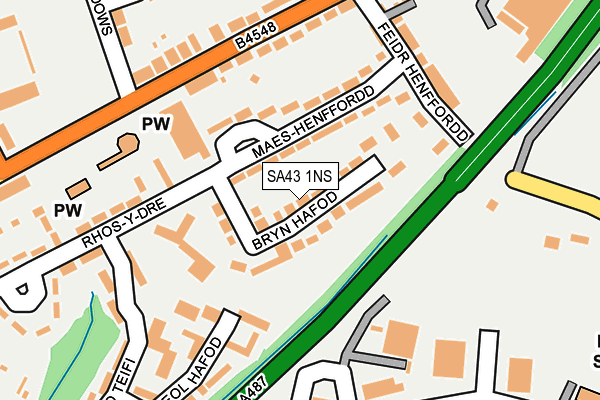 SA43 1NS map - OS OpenMap – Local (Ordnance Survey)
