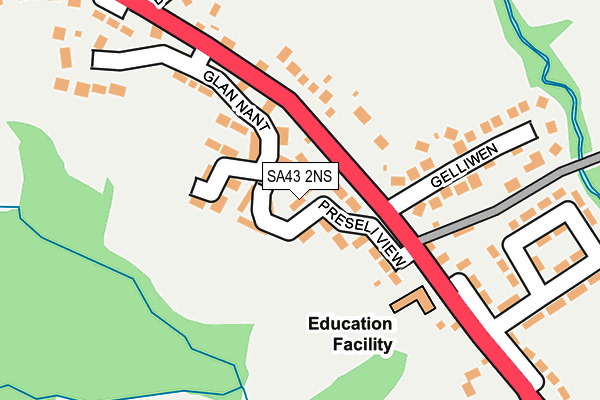 SA43 2NS map - OS OpenMap – Local (Ordnance Survey)