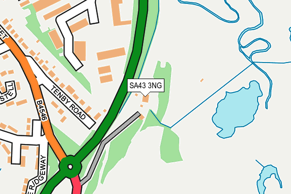 SA43 3NG map - OS OpenMap – Local (Ordnance Survey)