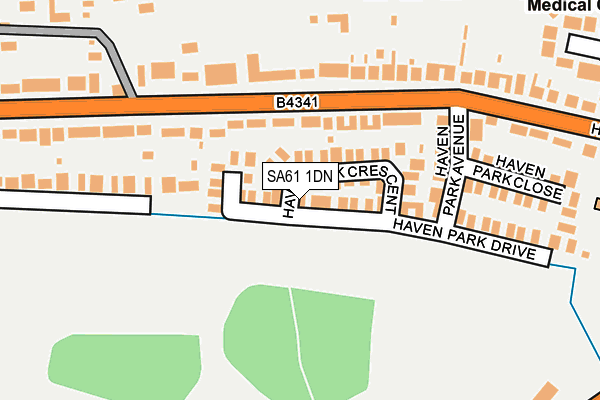 SA61 1DN map - OS OpenMap – Local (Ordnance Survey)