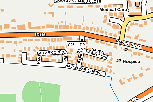 SA61 1DR map - OS OpenMap – Local (Ordnance Survey)