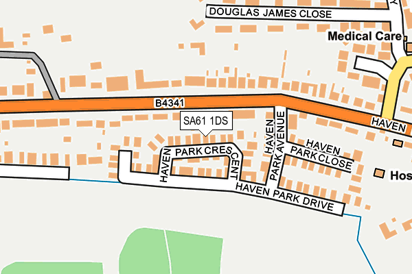 SA61 1DS map - OS OpenMap – Local (Ordnance Survey)