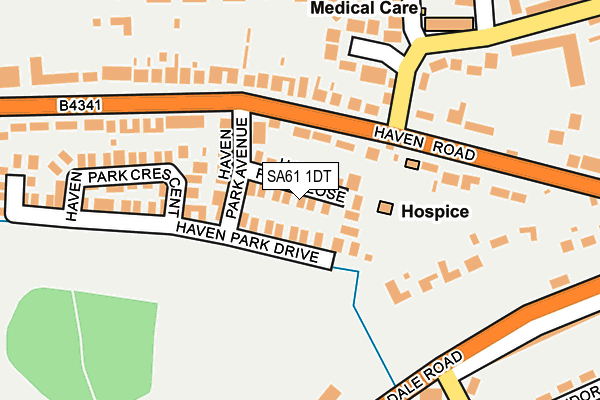 SA61 1DT map - OS OpenMap – Local (Ordnance Survey)