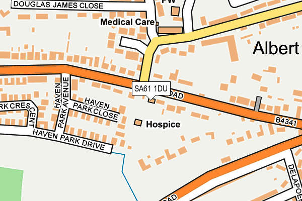 SA61 1DU map - OS OpenMap – Local (Ordnance Survey)