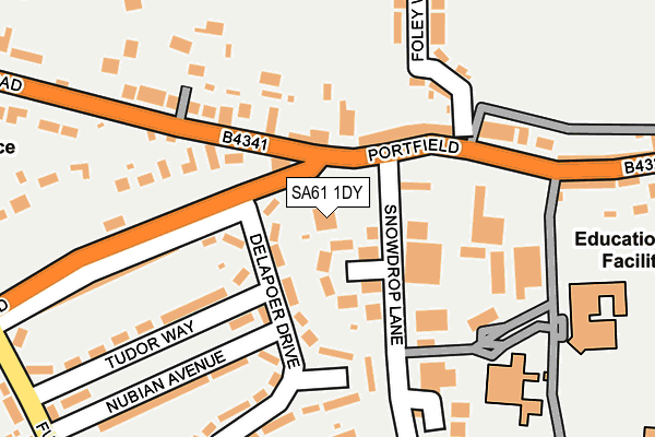 SA61 1DY map - OS OpenMap – Local (Ordnance Survey)