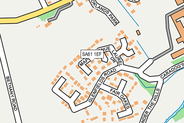 SA61 1EF map - OS OpenMap – Local (Ordnance Survey)
