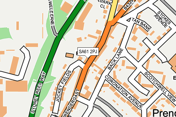 SA61 2PJ map - OS OpenMap – Local (Ordnance Survey)