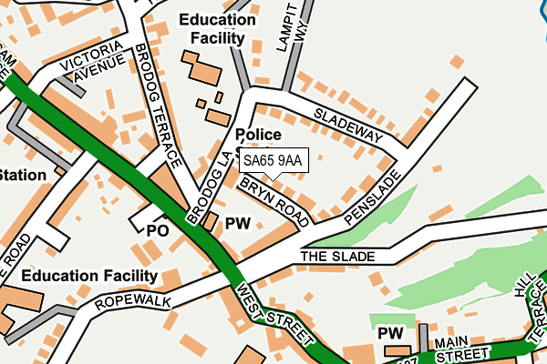 SA65 9AA map - OS OpenMap – Local (Ordnance Survey)