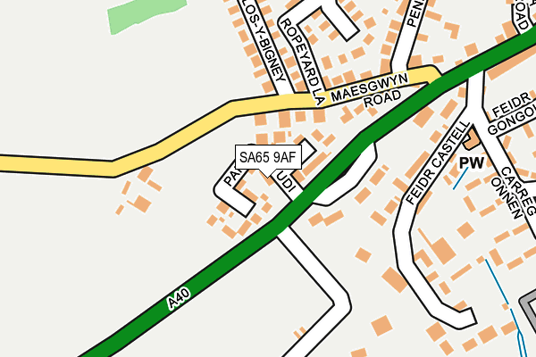 SA65 9AF map - OS OpenMap – Local (Ordnance Survey)