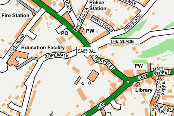 SA65 9AL map - OS OpenMap – Local (Ordnance Survey)