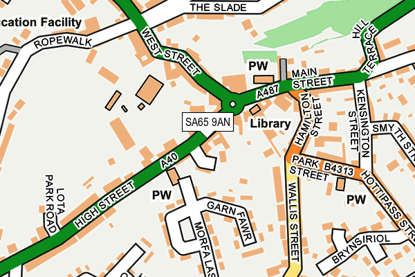 SA65 9AN map - OS OpenMap – Local (Ordnance Survey)