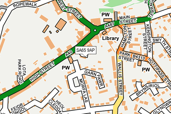 SA65 9AP map - OS OpenMap – Local (Ordnance Survey)