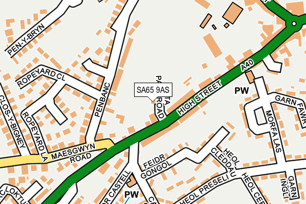 SA65 9AS map - OS OpenMap – Local (Ordnance Survey)
