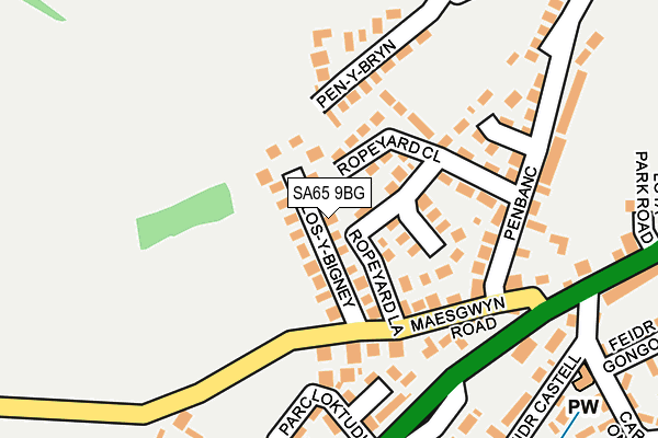 SA65 9BG map - OS OpenMap – Local (Ordnance Survey)