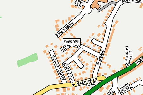 SA65 9BH map - OS OpenMap – Local (Ordnance Survey)