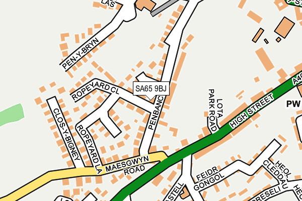 SA65 9BJ map - OS OpenMap – Local (Ordnance Survey)