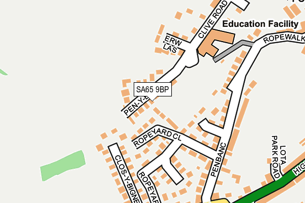 SA65 9BP map - OS OpenMap – Local (Ordnance Survey)
