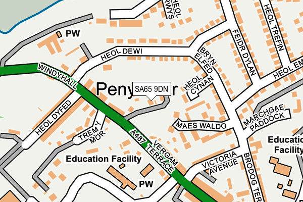 SA65 9DN map - OS OpenMap – Local (Ordnance Survey)