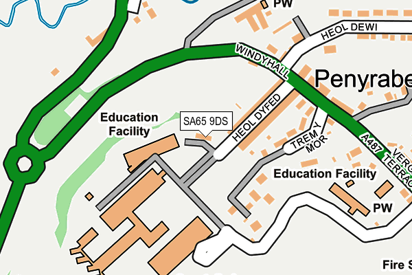 SA65 9DS map - OS OpenMap – Local (Ordnance Survey)