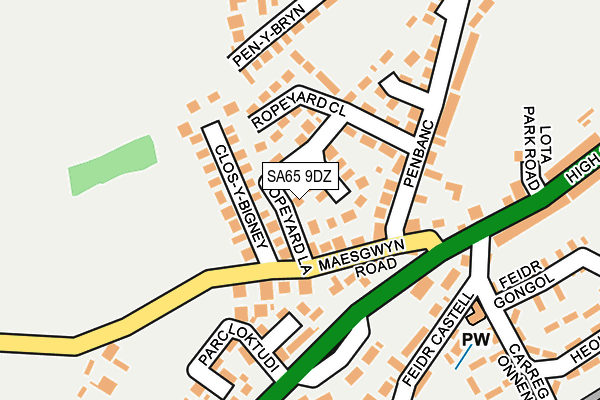 SA65 9DZ map - OS OpenMap – Local (Ordnance Survey)