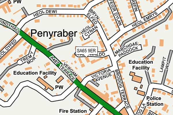 SA65 9ER map - OS OpenMap – Local (Ordnance Survey)