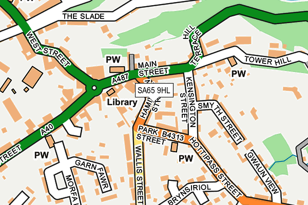 SA65 9HL map - OS OpenMap – Local (Ordnance Survey)