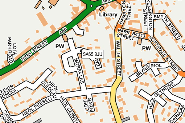 SA65 9JU map - OS OpenMap – Local (Ordnance Survey)