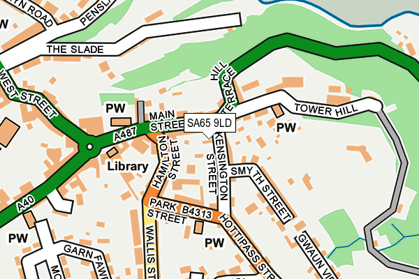 SA65 9LD map - OS OpenMap – Local (Ordnance Survey)