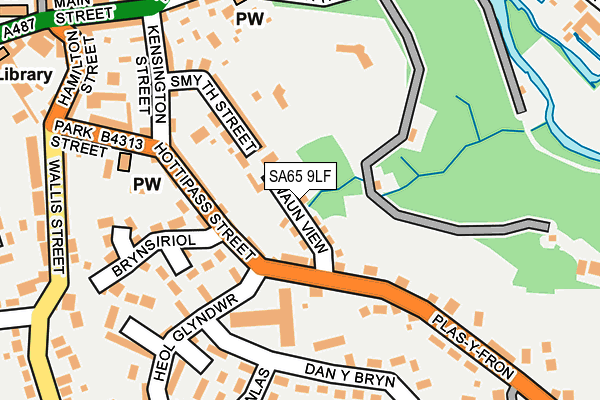 SA65 9LF map - OS OpenMap – Local (Ordnance Survey)