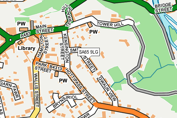 SA65 9LG map - OS OpenMap – Local (Ordnance Survey)