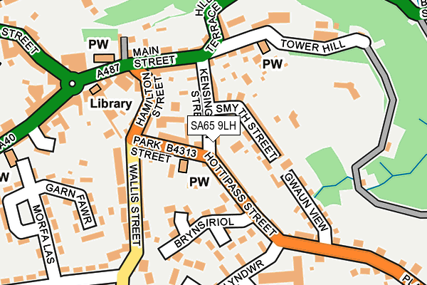 SA65 9LH map - OS OpenMap – Local (Ordnance Survey)