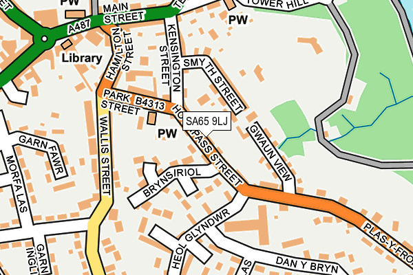 SA65 9LJ map - OS OpenMap – Local (Ordnance Survey)