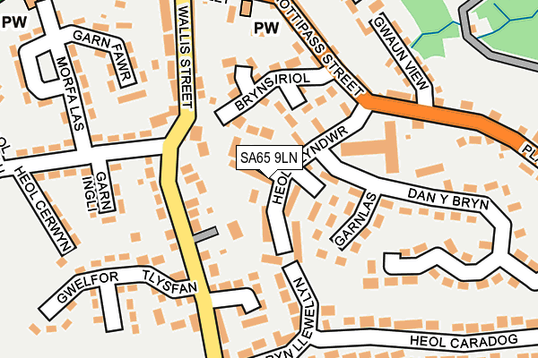 SA65 9LN map - OS OpenMap – Local (Ordnance Survey)