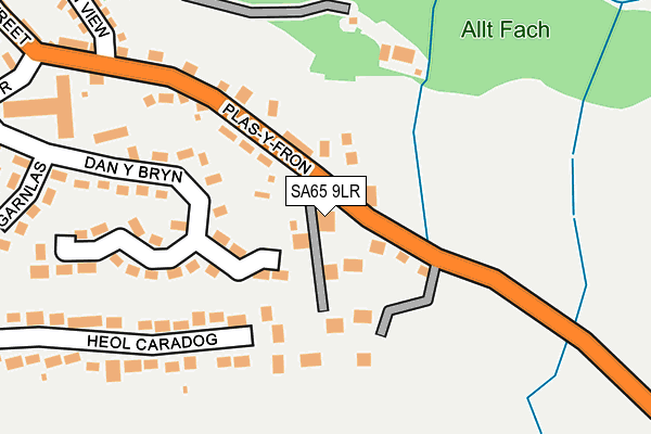 SA65 9LR map - OS OpenMap – Local (Ordnance Survey)