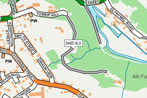 SA65 9LS map - OS OpenMap – Local (Ordnance Survey)
