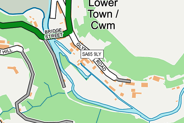 SA65 9LY map - OS OpenMap – Local (Ordnance Survey)