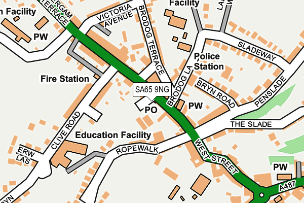 SA65 9NG map - OS OpenMap – Local (Ordnance Survey)