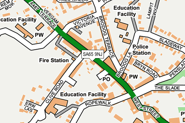 SA65 9NJ map - OS OpenMap – Local (Ordnance Survey)