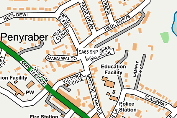 SA65 9NP map - OS OpenMap – Local (Ordnance Survey)