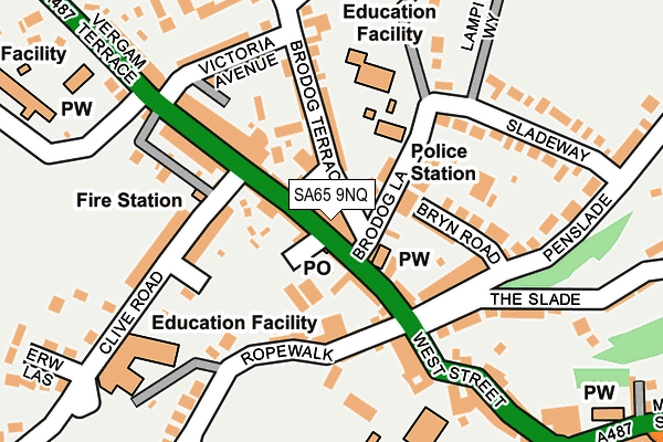 SA65 9NQ map - OS OpenMap – Local (Ordnance Survey)