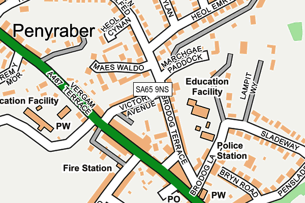 SA65 9NS map - OS OpenMap – Local (Ordnance Survey)