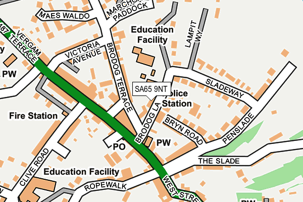 SA65 9NT map - OS OpenMap – Local (Ordnance Survey)