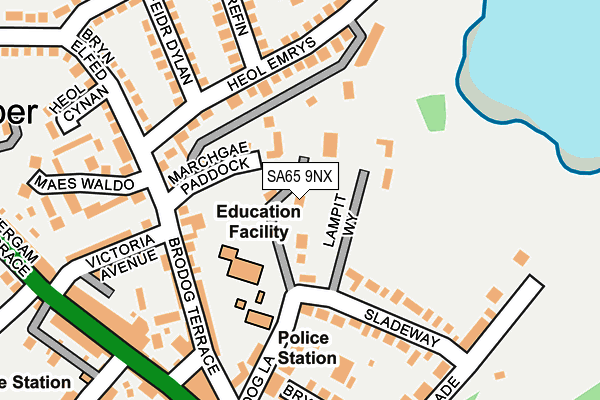 SA65 9NX map - OS OpenMap – Local (Ordnance Survey)